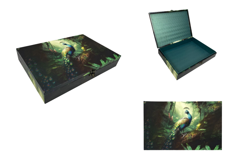 Peacock Saree Box (350x240x55mm)
