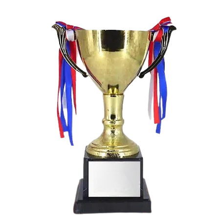 Customzed Premium Metal Trophy