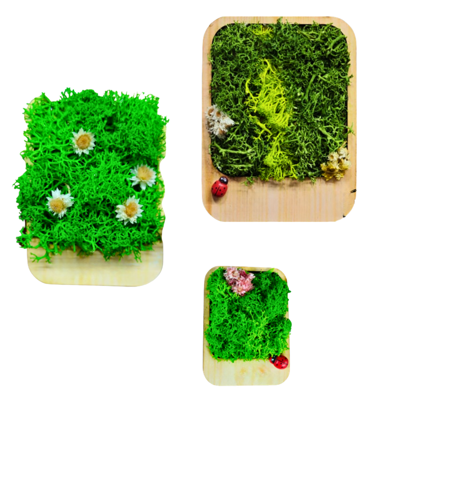 Fridge magnet, Paper weight --- 4 x 2 inch, 3x2 inch, 2.5x2 inch