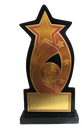 Big star wooden trophy (Large-10.5")