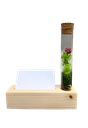 Eco - tube organiser --- 5.5 x 1.5 x 1.5 inch, Tube - 6 x 1 inch