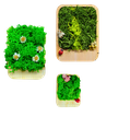 Fridge magnet, Paper weight --- 4 x 2 inch, 3x2 inch, 2.5x2 inch